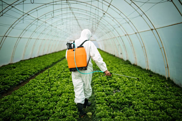 Best Emergency Pest Control  in Glen Gardner, NJ