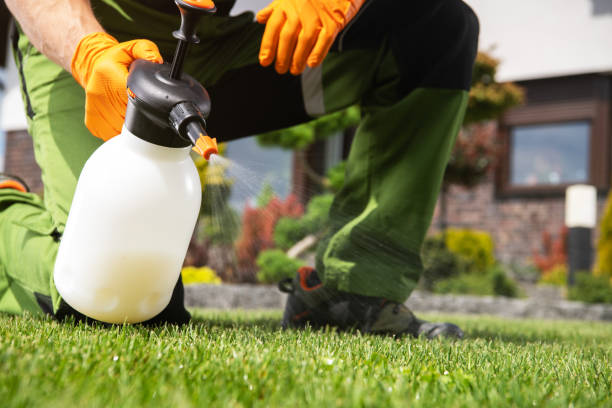 Best Commercial Pest Control Services  in Glen Gardner, NJ