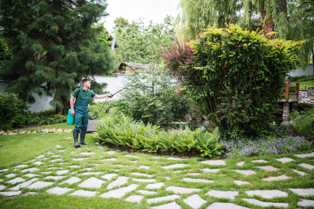 Best Best Pest Control Companies  in Glen Gardner, NJ
