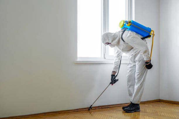 Best Rat Extermination Near Me  in Glen Gardner, NJ