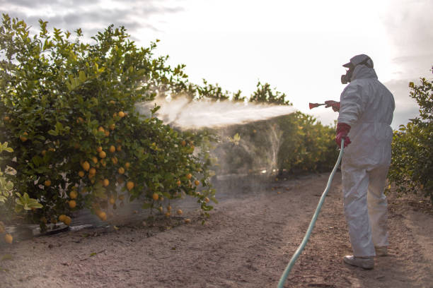 Best Wasp Removal Services  in Glen Gardner, NJ
