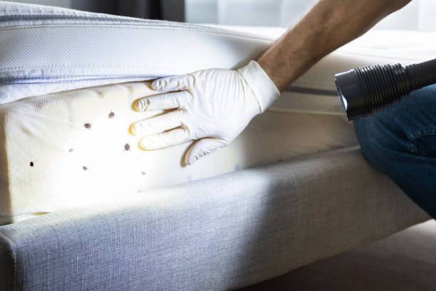 Best Bed Bug Extermination  in Glen Gardner, NJ