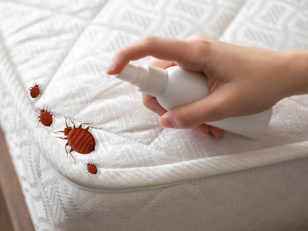 Best Mosquito Control Services  in Glen Gardner, NJ