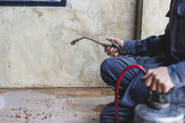 Best Exterminator Services  in Glen Gardner, NJ